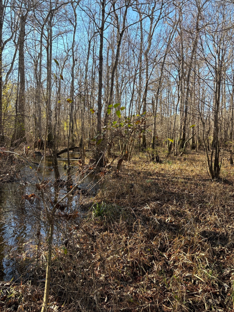 Public Land Low Waterr